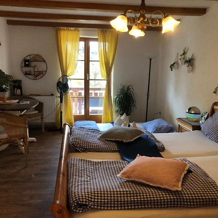 Ferienwohnung Sonne シュリーンゲン エクステリア 写真